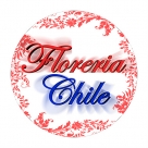 FLORERIA CHILE
